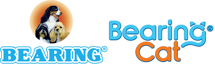 Bearing