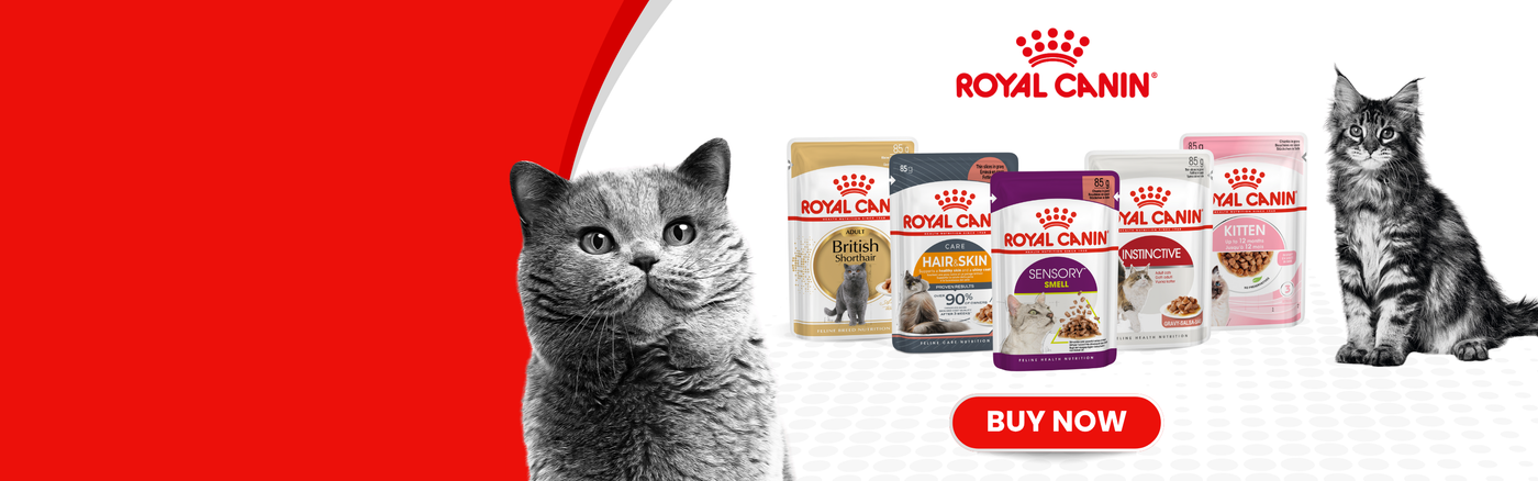 Royal Canin Cat Food