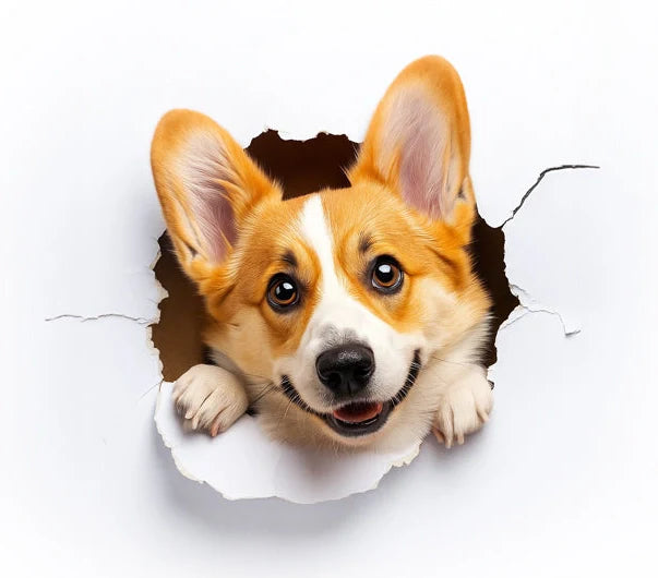 Dogs